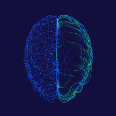 Digital representation of a brain
